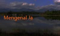 Mengenal Jalalive APK: Aplikasi Hiburan Terbaik untuk Pengguna Indonesia