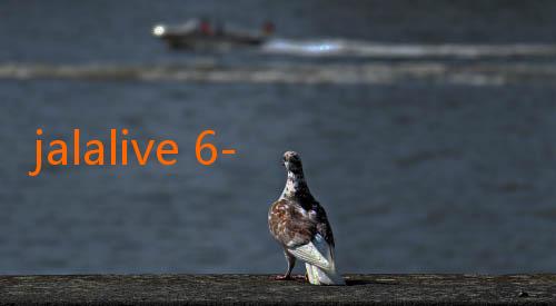 jalalive 6-Jalalive.22: Mengungkap Pesona dan Makna di Balik Fenomena Digital